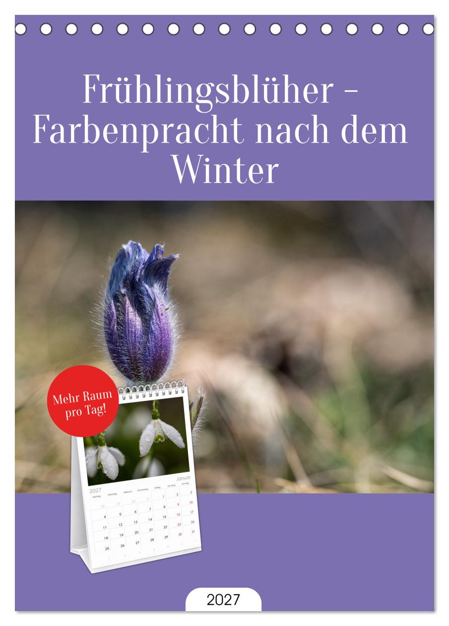 Frühlingsblüher - Farbenpracht nach dem Winter