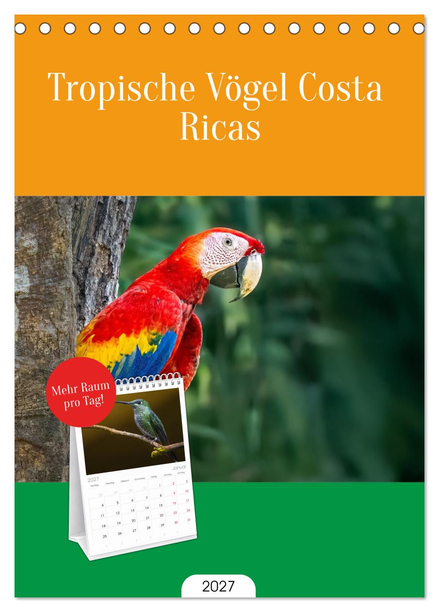 Tropische Vögel Costa Ricas