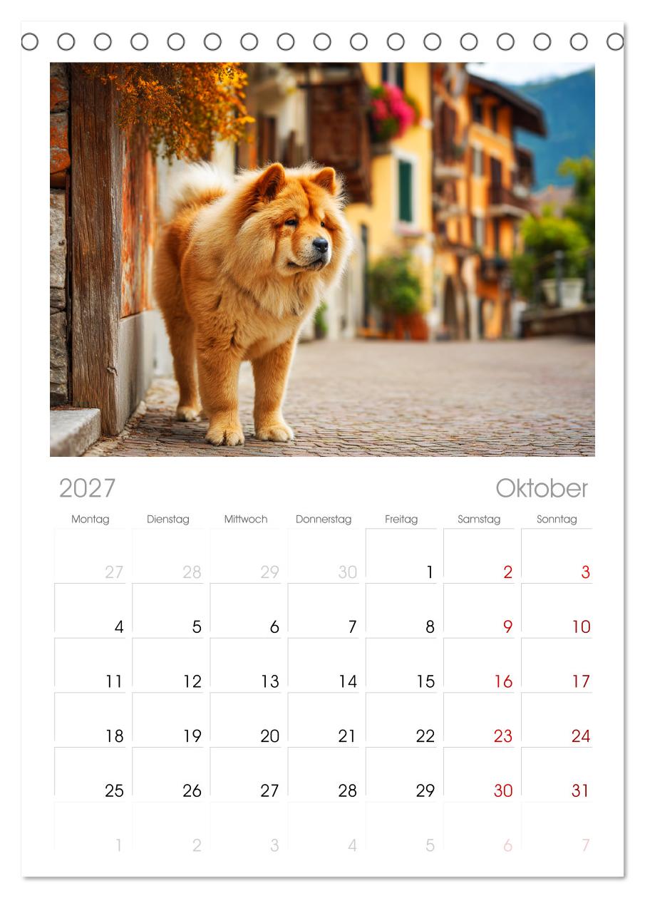 Chow Chow Momente. Fellpoesie aus dem Reich der Mitte