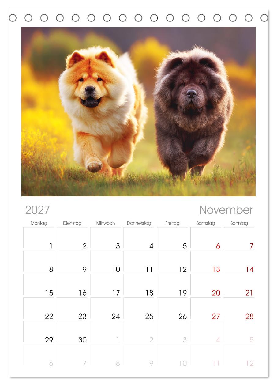 Chow Chow Momente. Fellpoesie aus dem Reich der Mitte