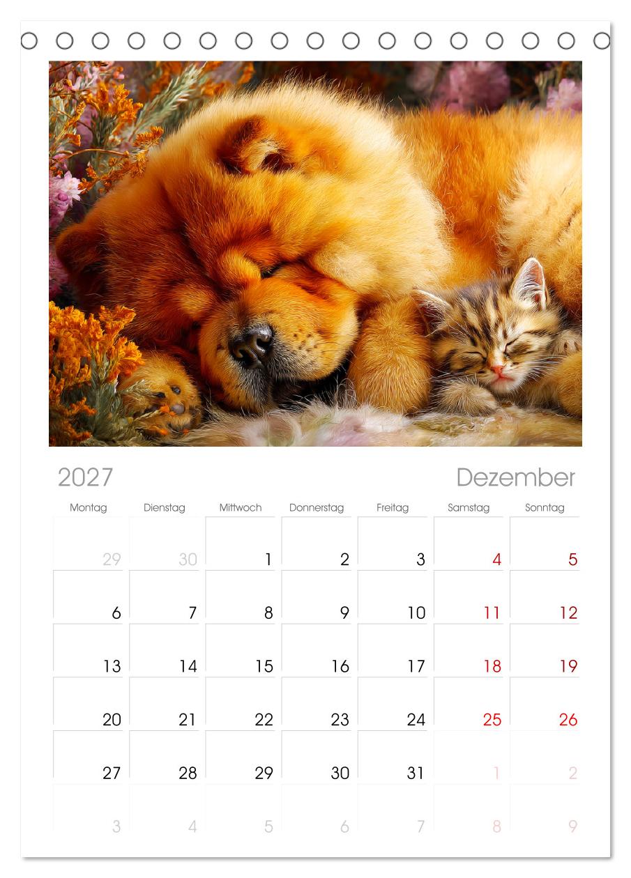 Chow Chow Momente. Fellpoesie aus dem Reich der Mitte