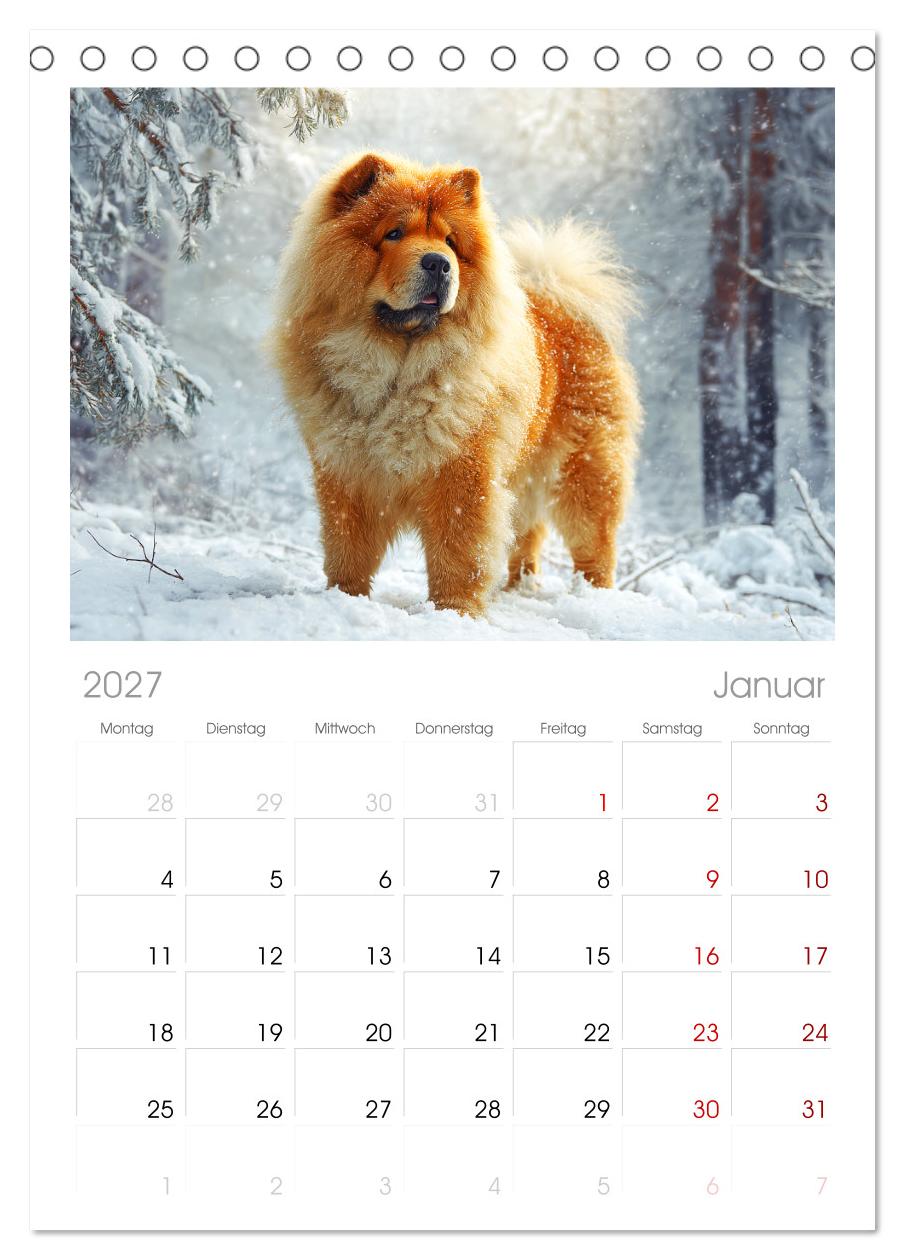 Chow Chow Momente. Fellpoesie aus dem Reich der Mitte