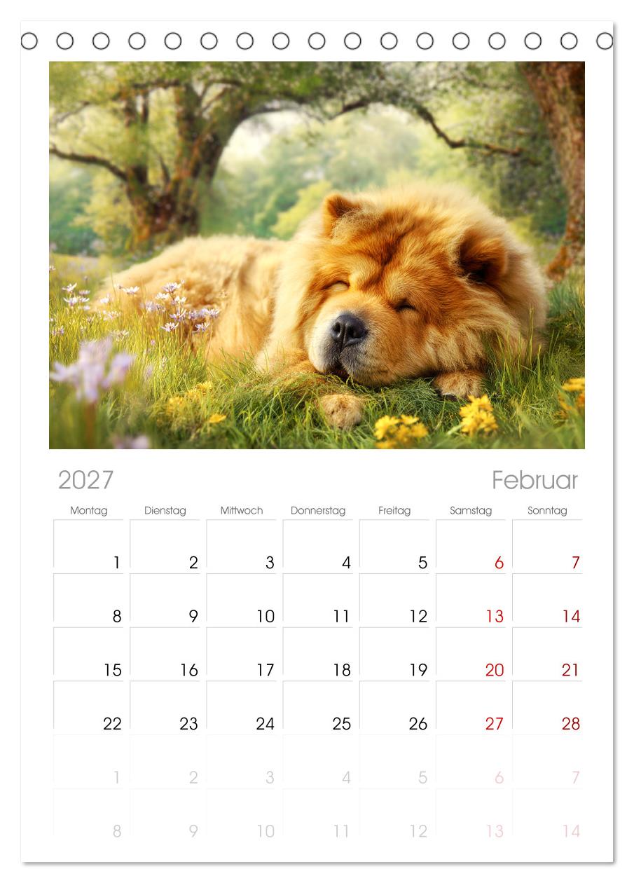 Chow Chow Momente. Fellpoesie aus dem Reich der Mitte