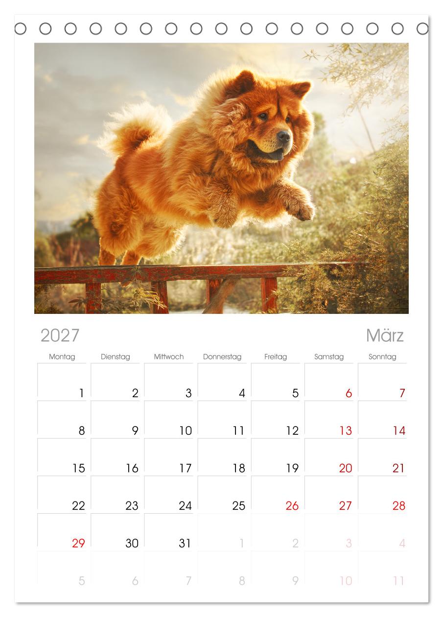 Chow Chow Momente. Fellpoesie aus dem Reich der Mitte