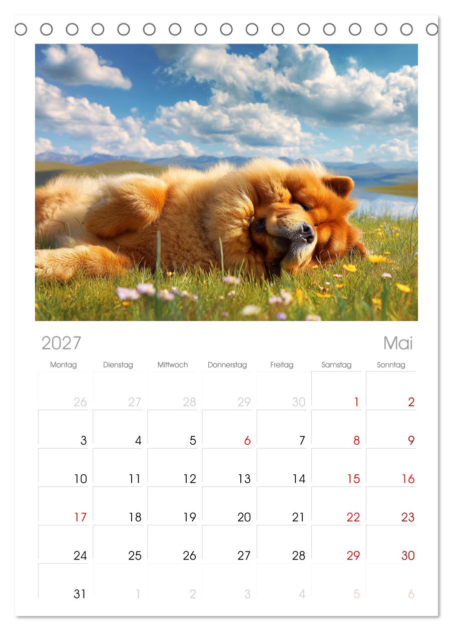 Chow Chow Momente. Fellpoesie aus dem Reich der Mitte