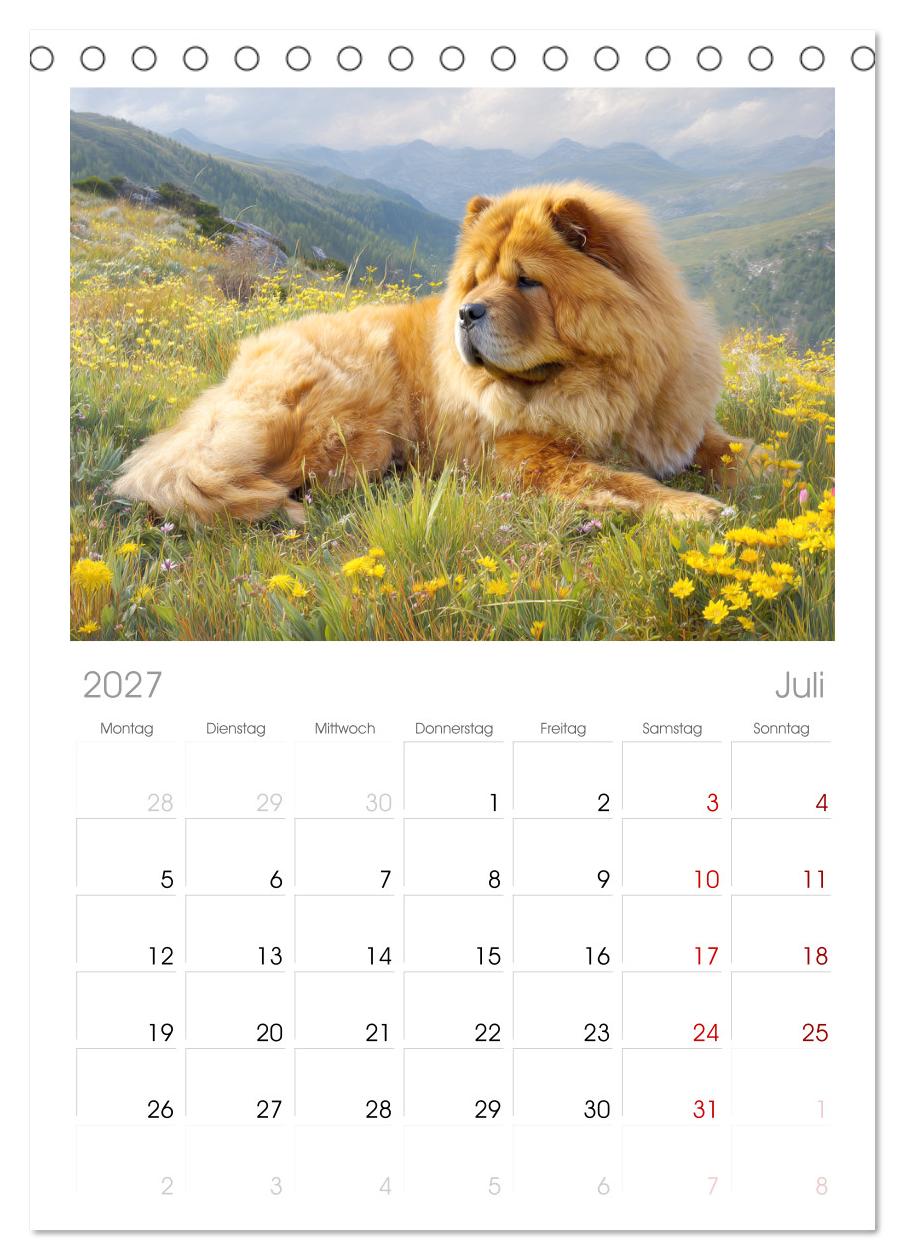 Chow Chow Momente. Fellpoesie aus dem Reich der Mitte