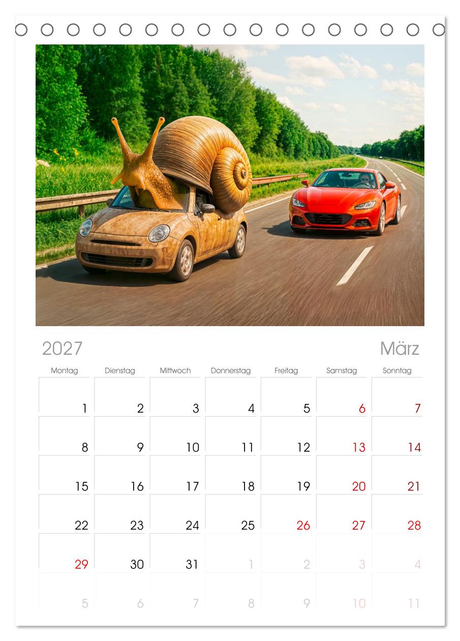 Tierische Redewendungen - Ein Kalender voller Sprüche und Sprachbilder