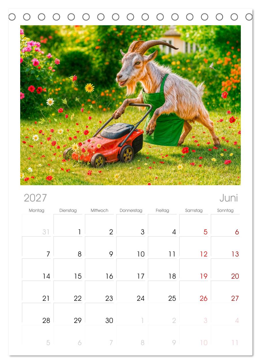 Tierische Redewendungen - Ein Kalender voller Sprüche und Sprachbilder