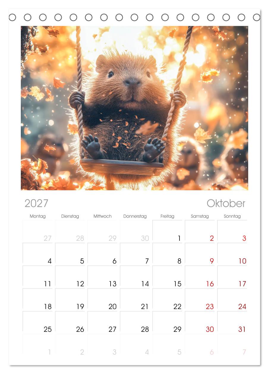 Capybara Zeit
