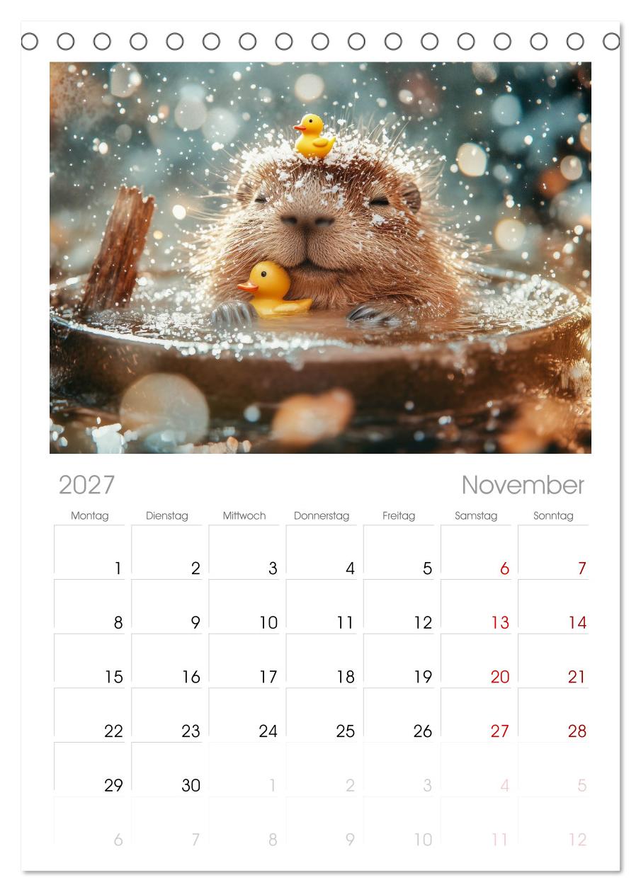 Capybara Zeit