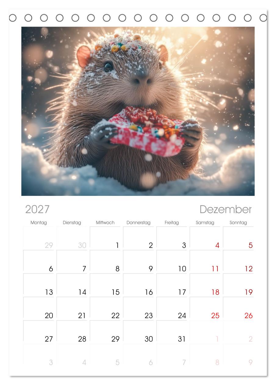 Capybara Zeit