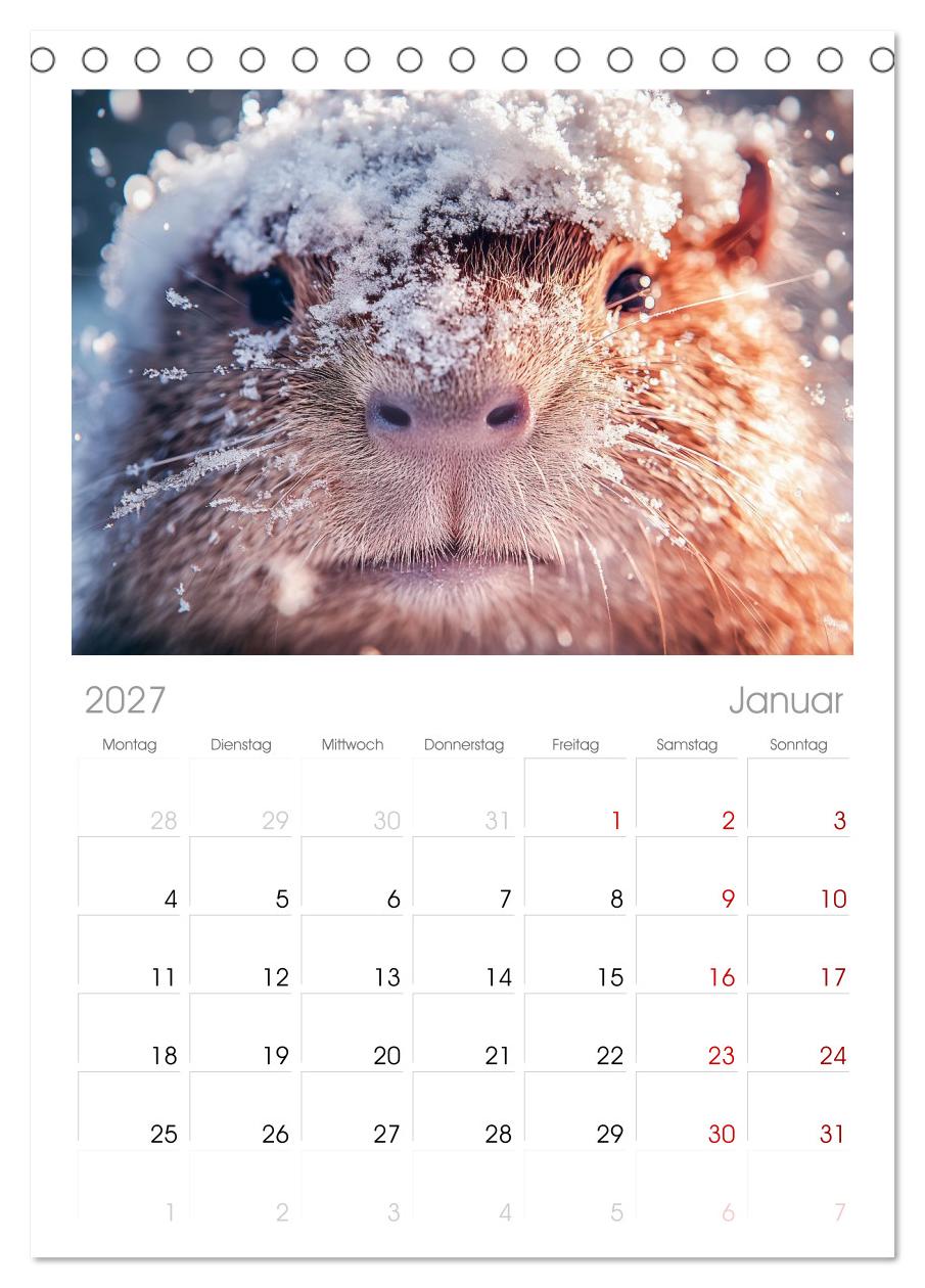 Capybara Zeit