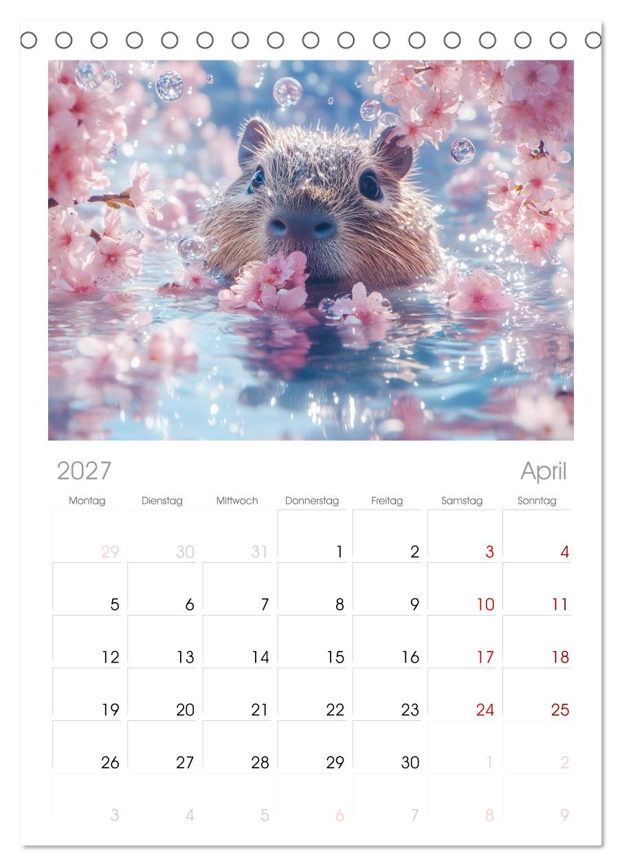Capybara Zeit