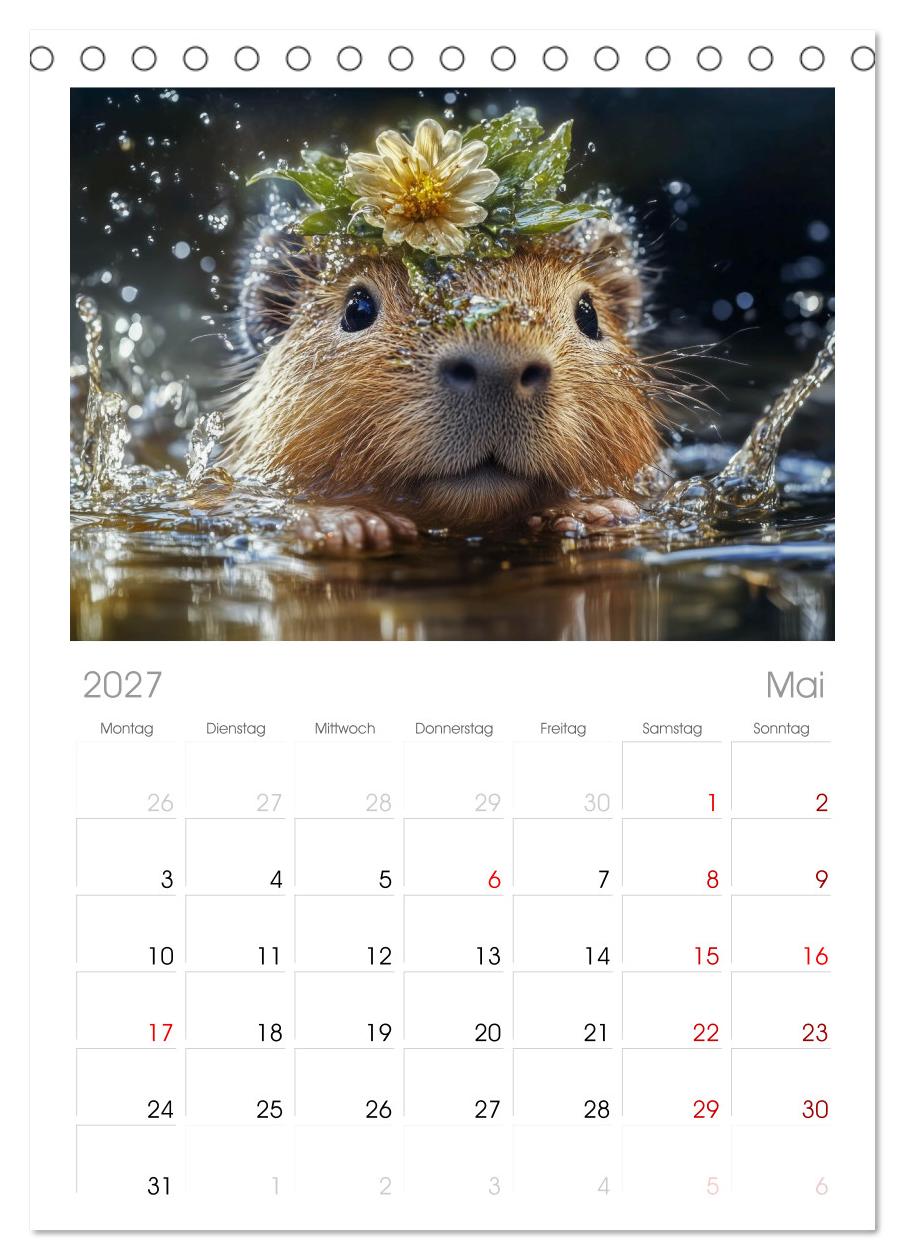 Capybara Zeit