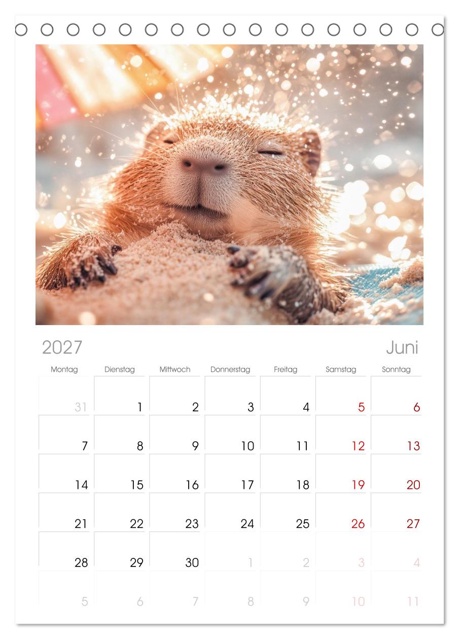 Capybara Zeit