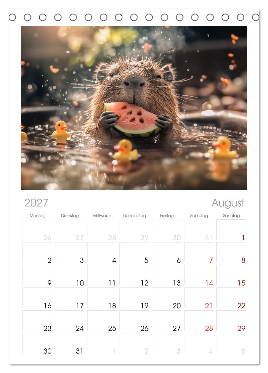 Capybara Zeit