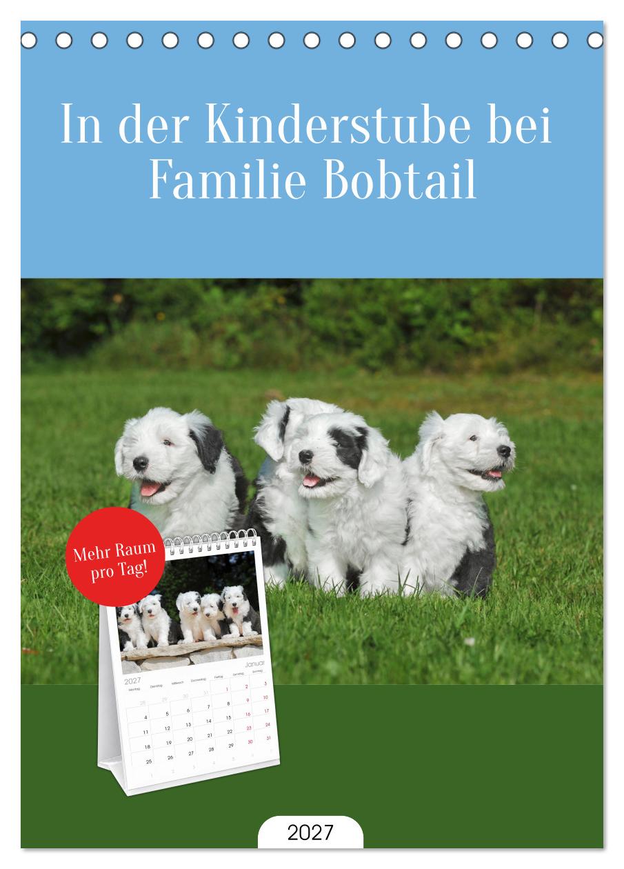 In der Kinderstube bei Familie Bobtail