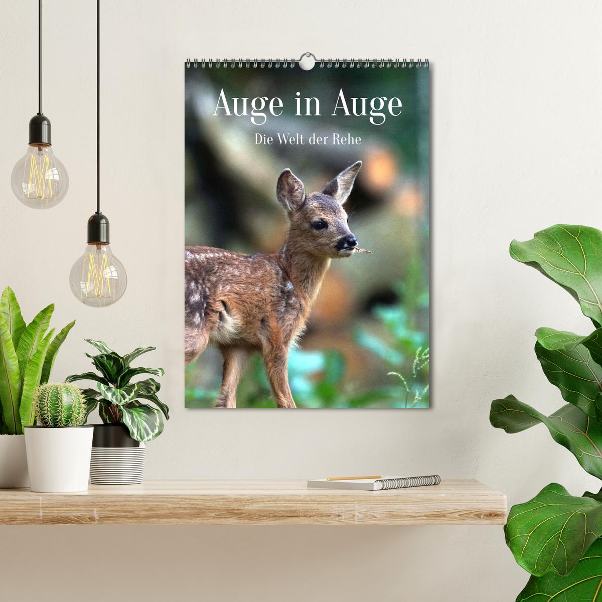 Auge in Auge: Die Welt der Rehe