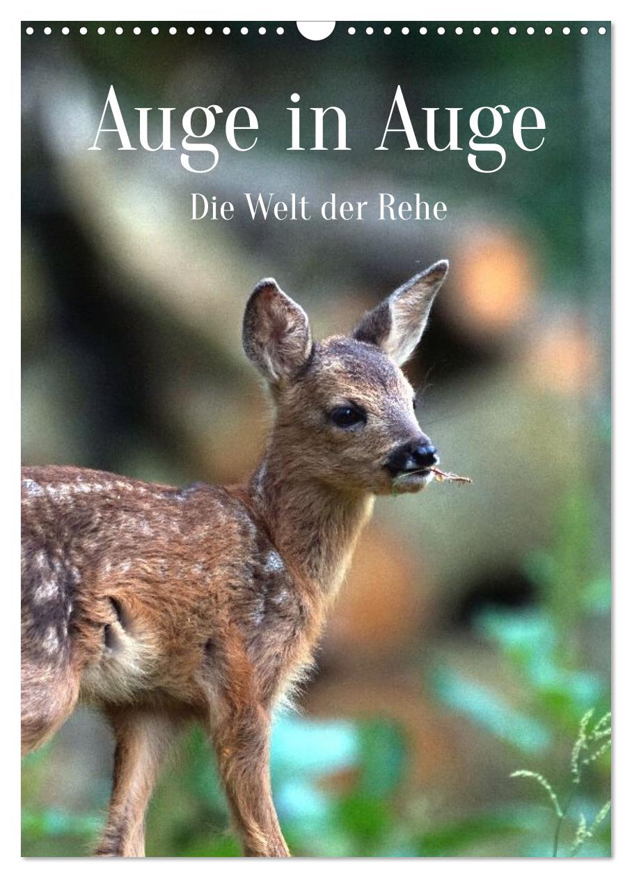 Auge in Auge: Die Welt der Rehe