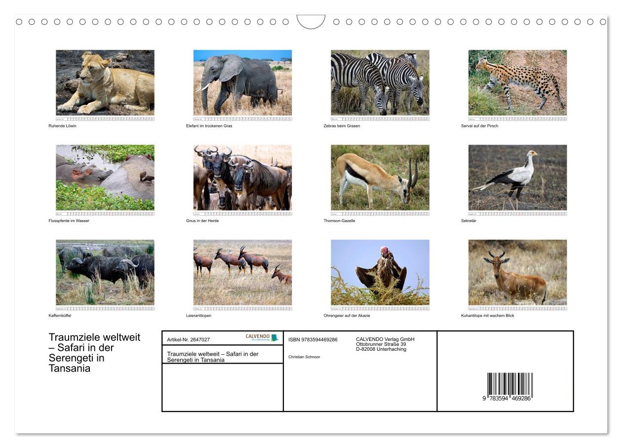 Traumziele weltweit – Safari in der Serengeti in Tansania