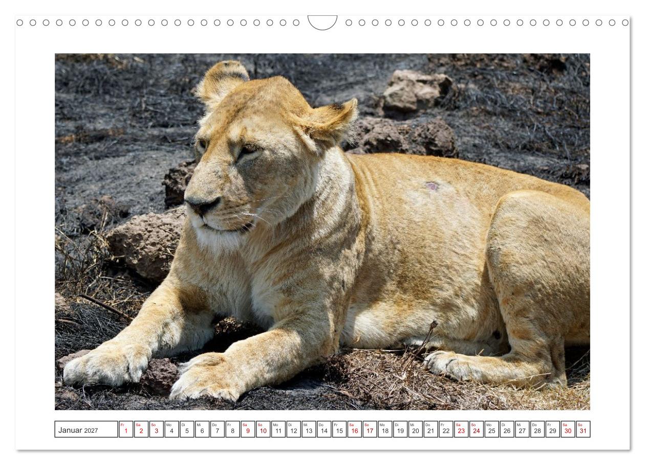 Traumziele weltweit – Safari in der Serengeti in Tansania