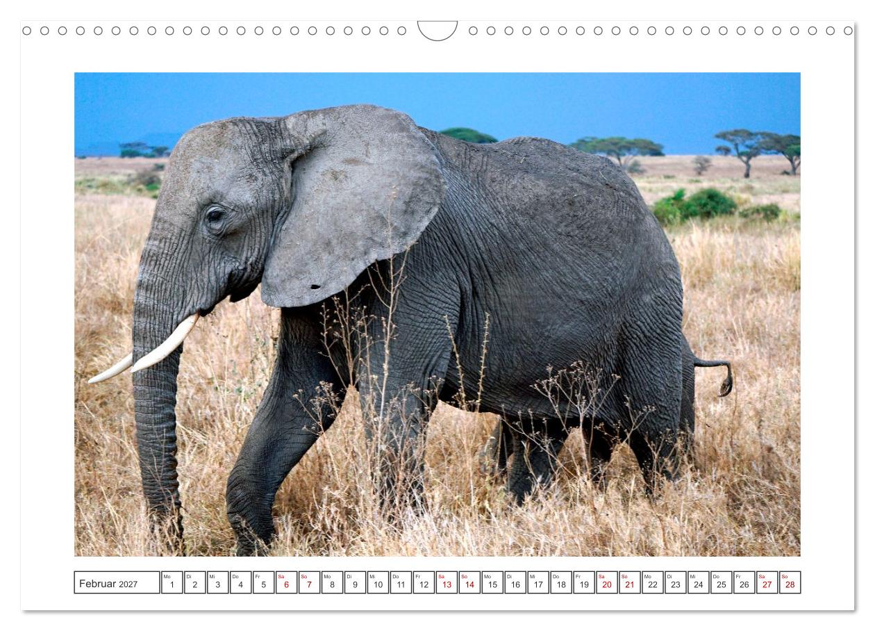Traumziele weltweit – Safari in der Serengeti in Tansania