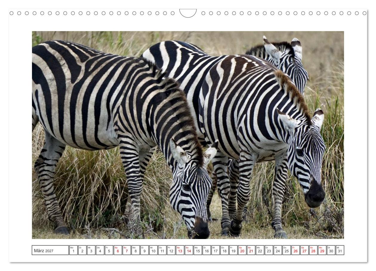 Traumziele weltweit – Safari in der Serengeti in Tansania