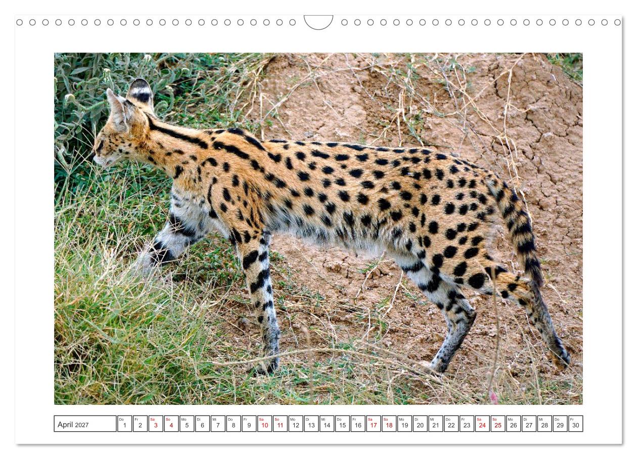 Traumziele weltweit – Safari in der Serengeti in Tansania