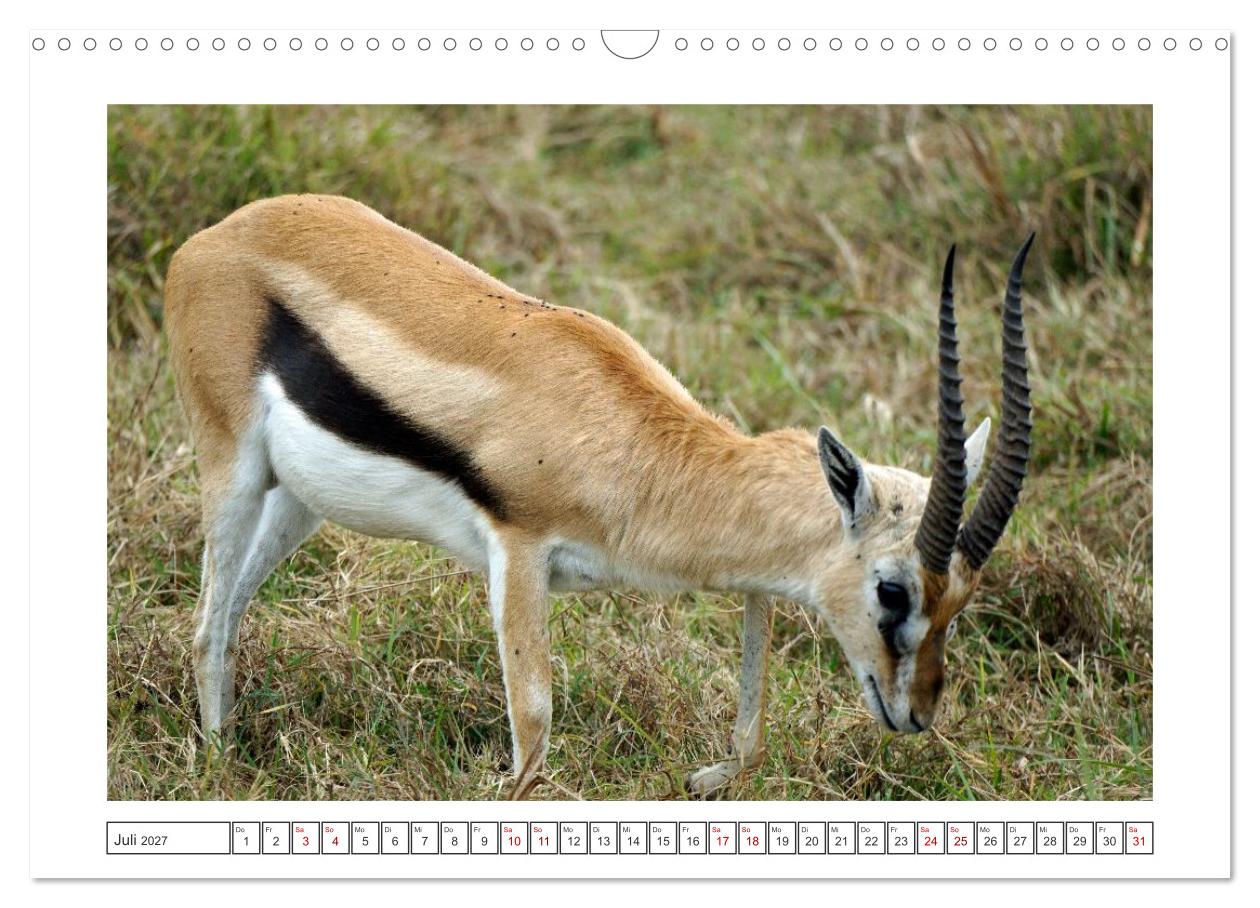 Traumziele weltweit – Safari in der Serengeti in Tansania