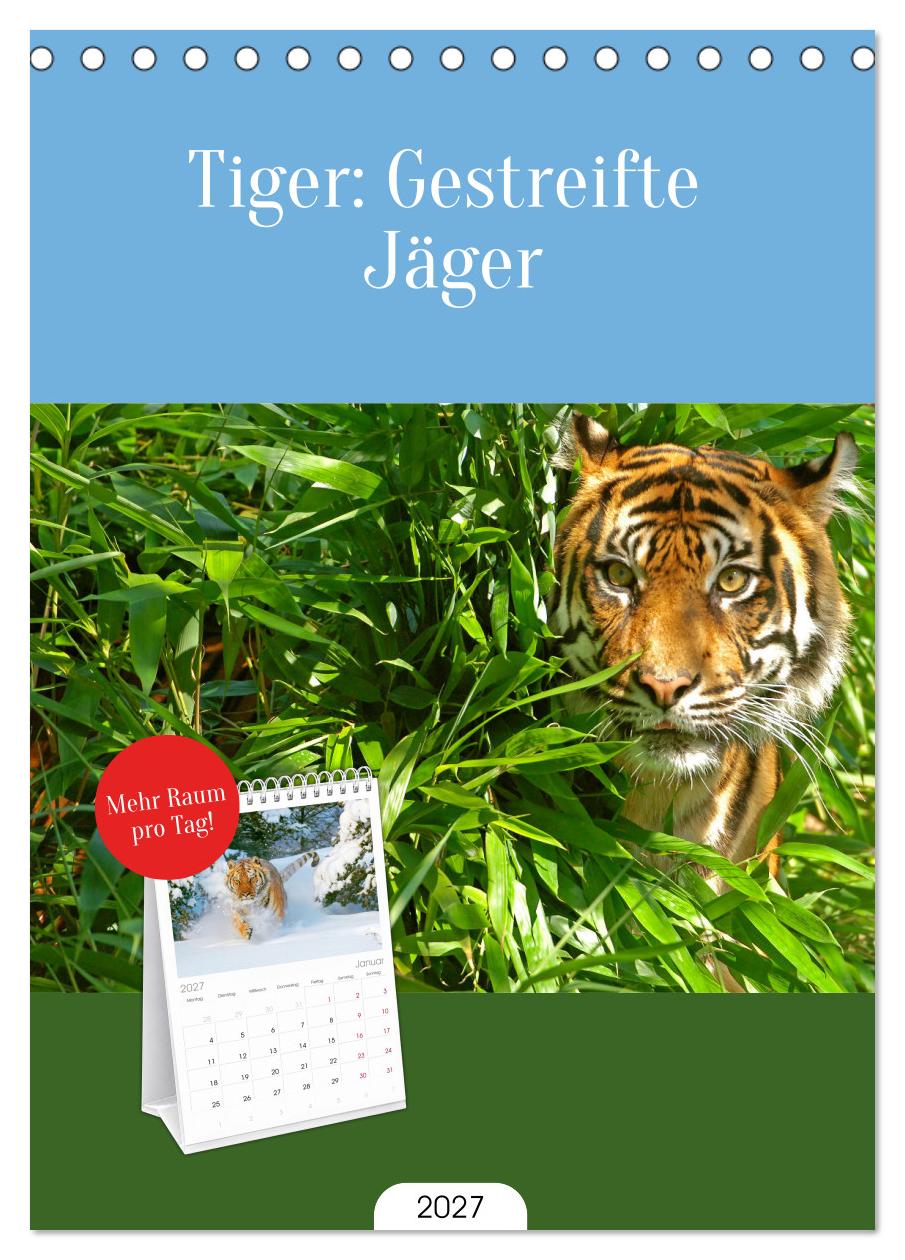 Tiger: Gestreifte Jäger