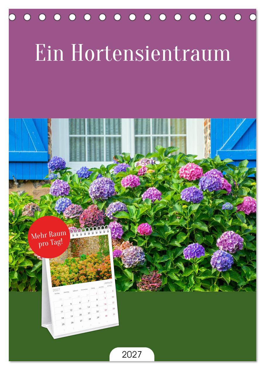 Ein Hortensientraum