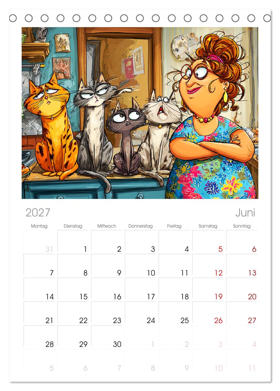 Katzen und Frauen. Lustige Cartoons vom täglichen Chaos