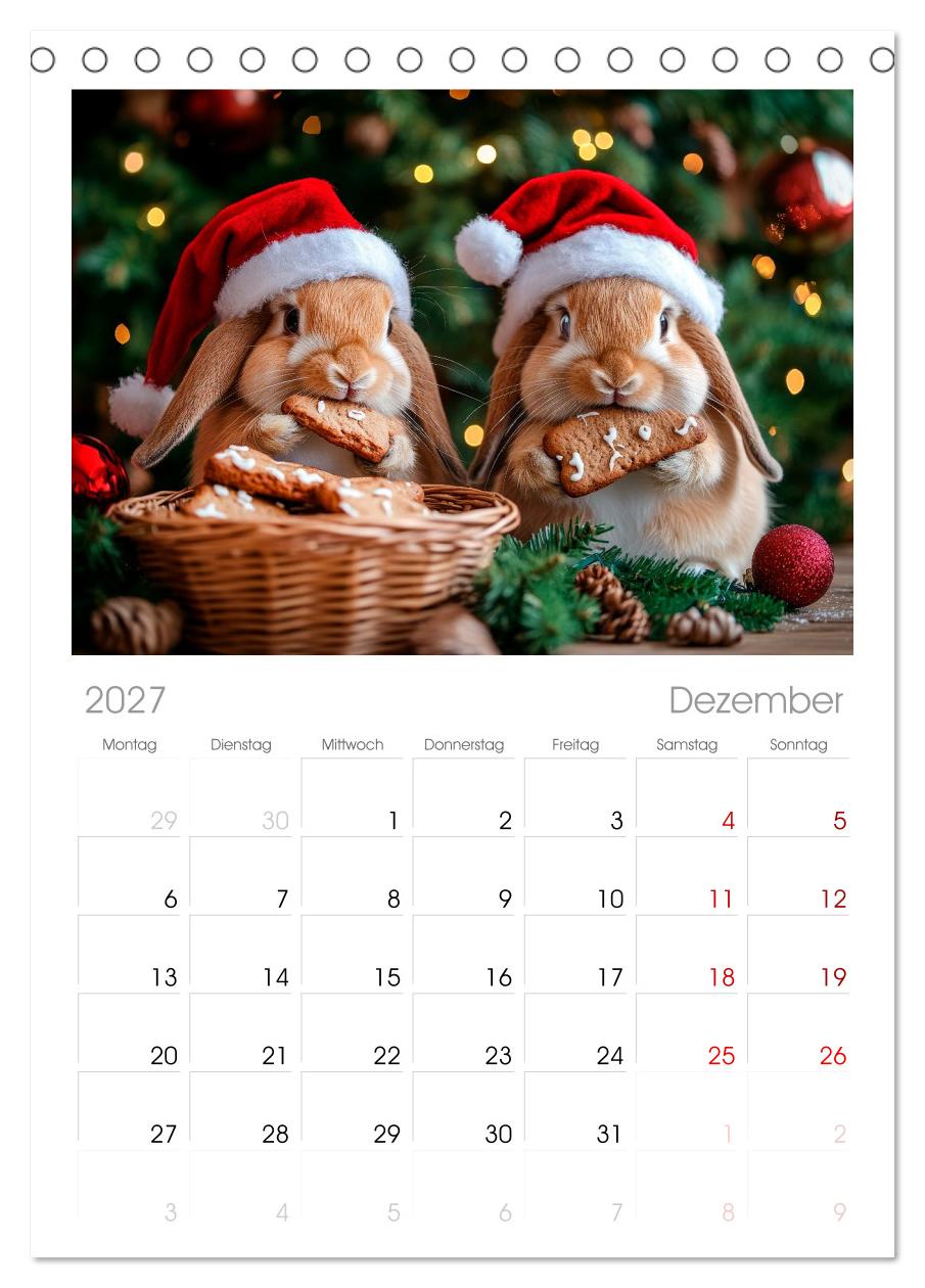 Kaninchen auf Reisen