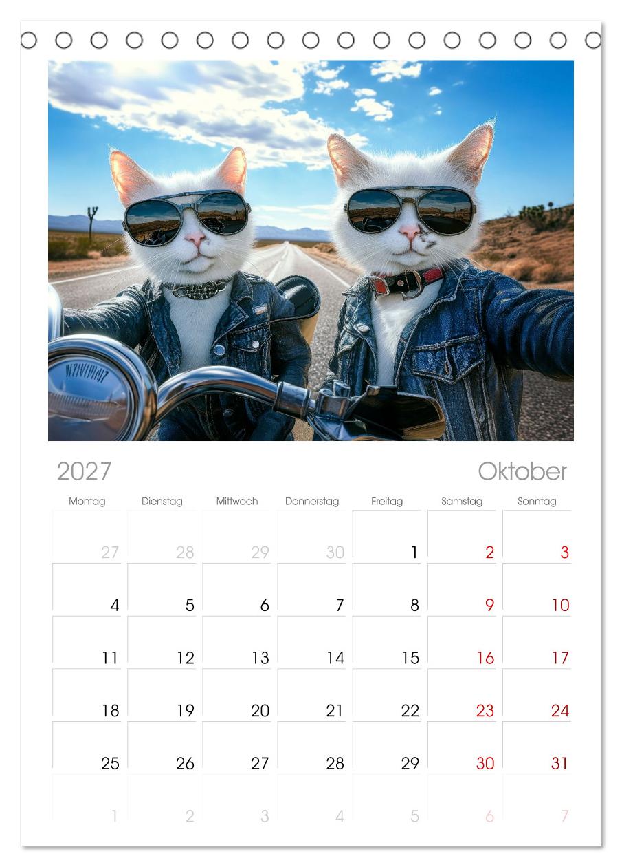 KATZEN-SELFIES Tierische Reiselust