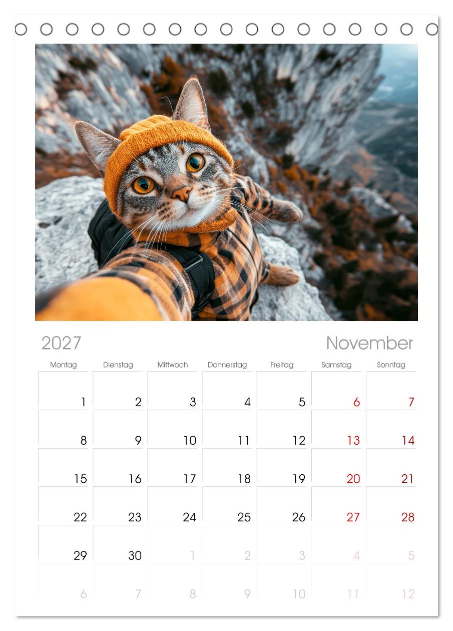 KATZEN-SELFIES Tierische Reiselust