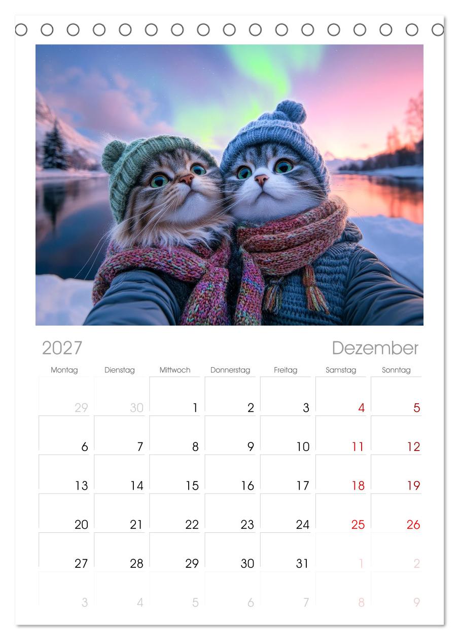 KATZEN-SELFIES Tierische Reiselust