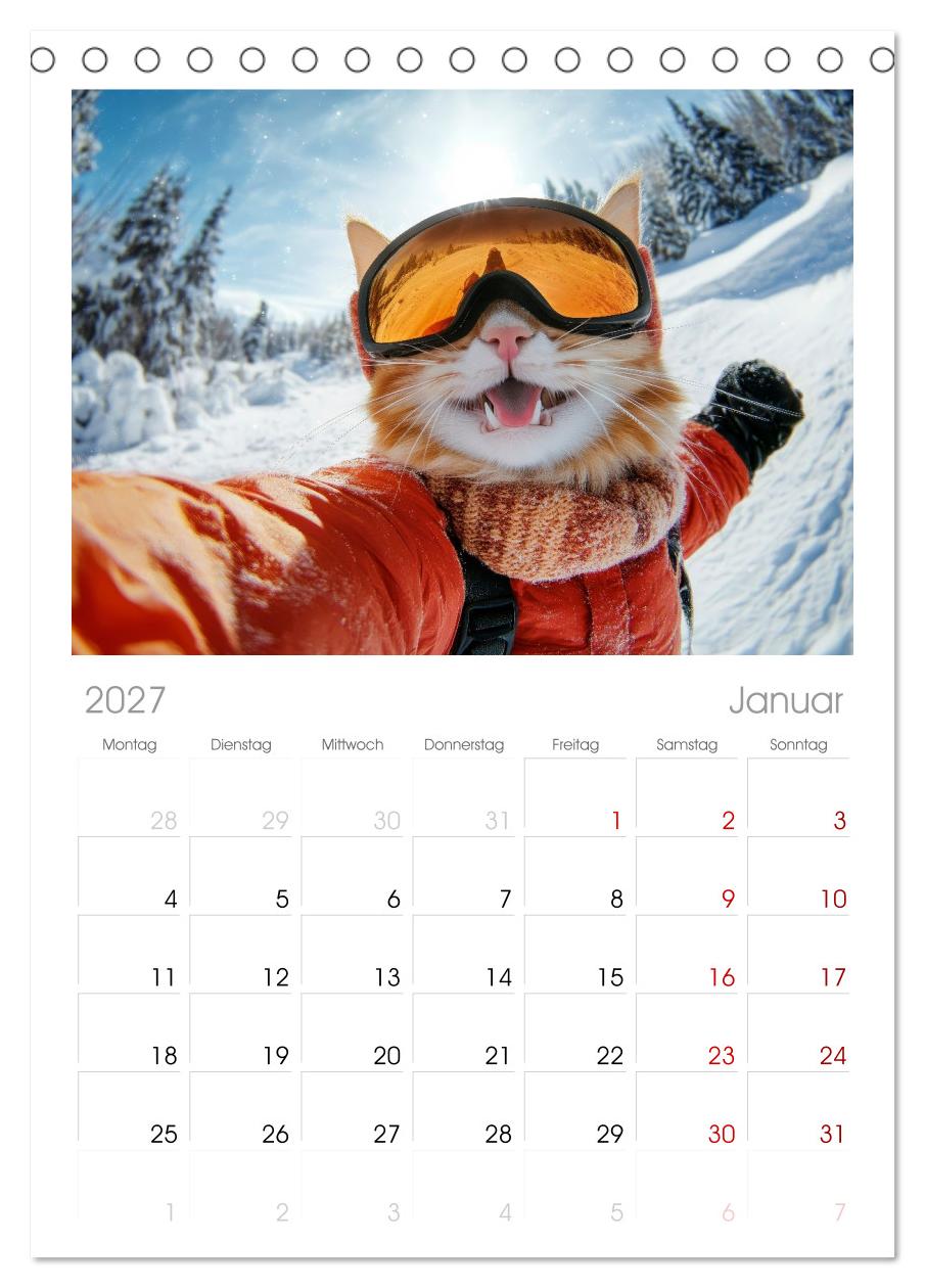 KATZEN-SELFIES Tierische Reiselust