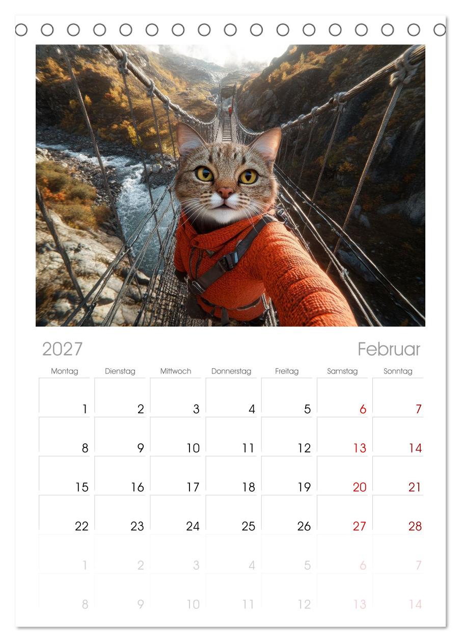 KATZEN-SELFIES Tierische Reiselust