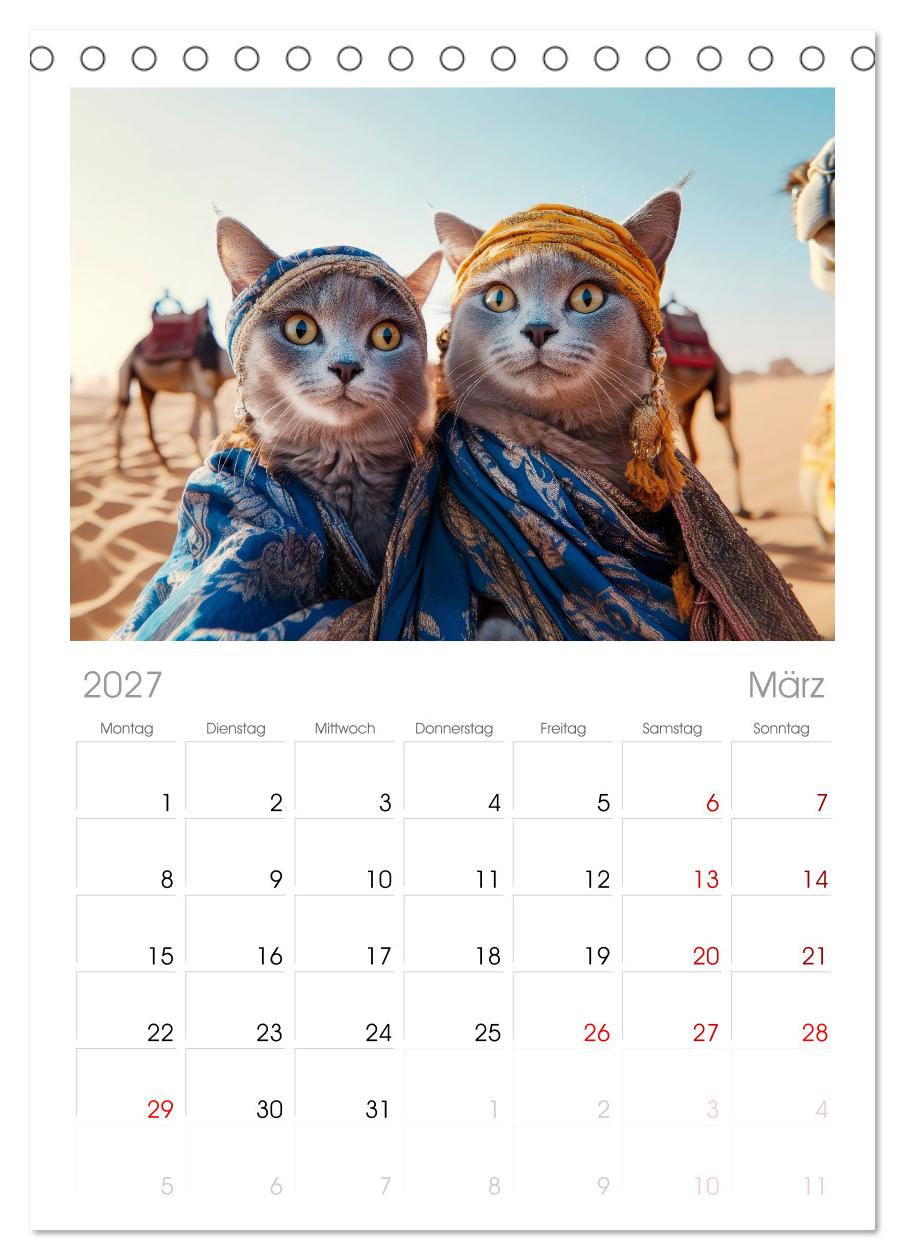 KATZEN-SELFIES Tierische Reiselust