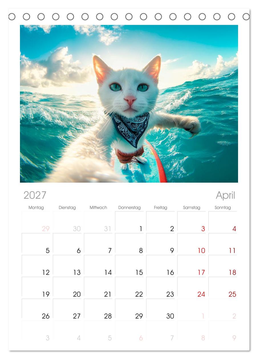 KATZEN-SELFIES Tierische Reiselust