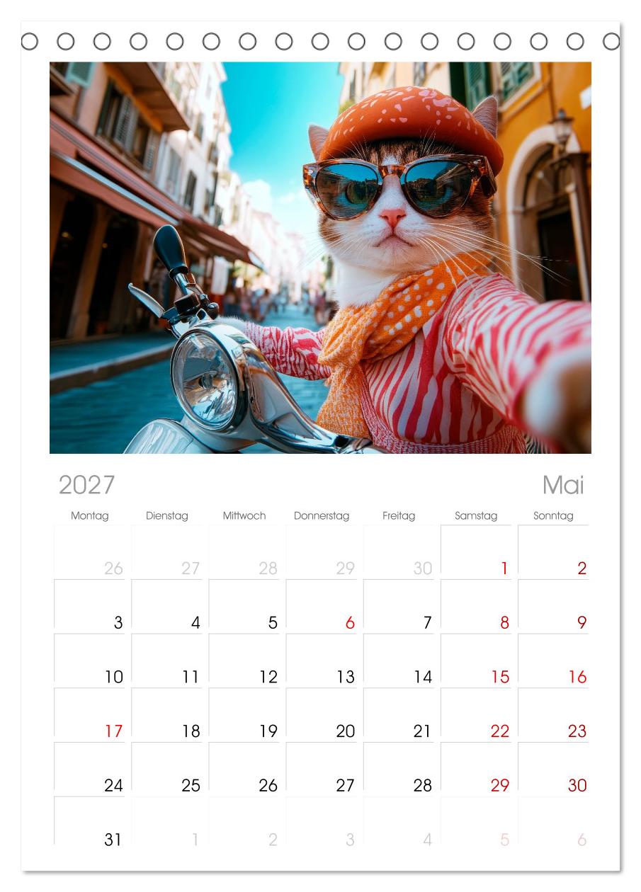 KATZEN-SELFIES Tierische Reiselust