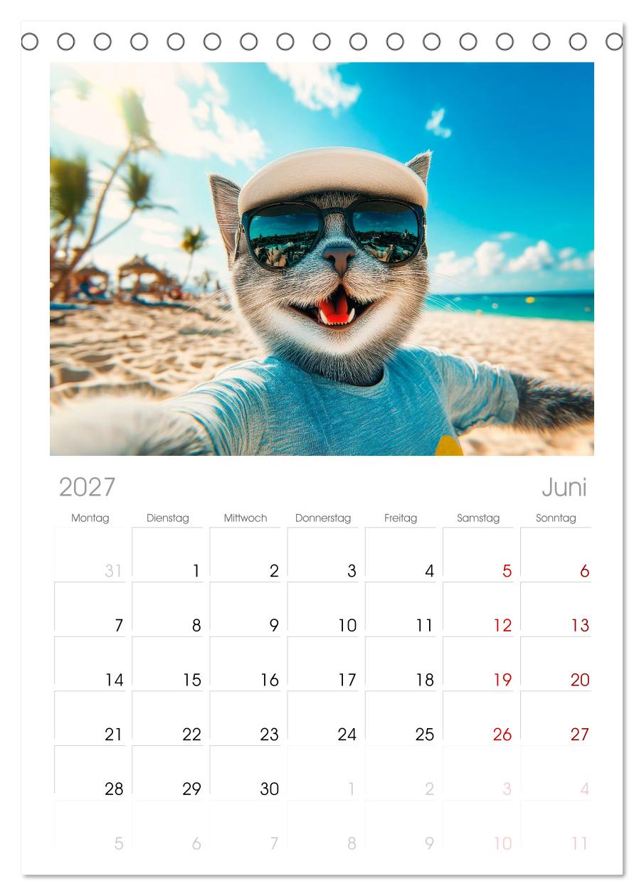 KATZEN-SELFIES Tierische Reiselust