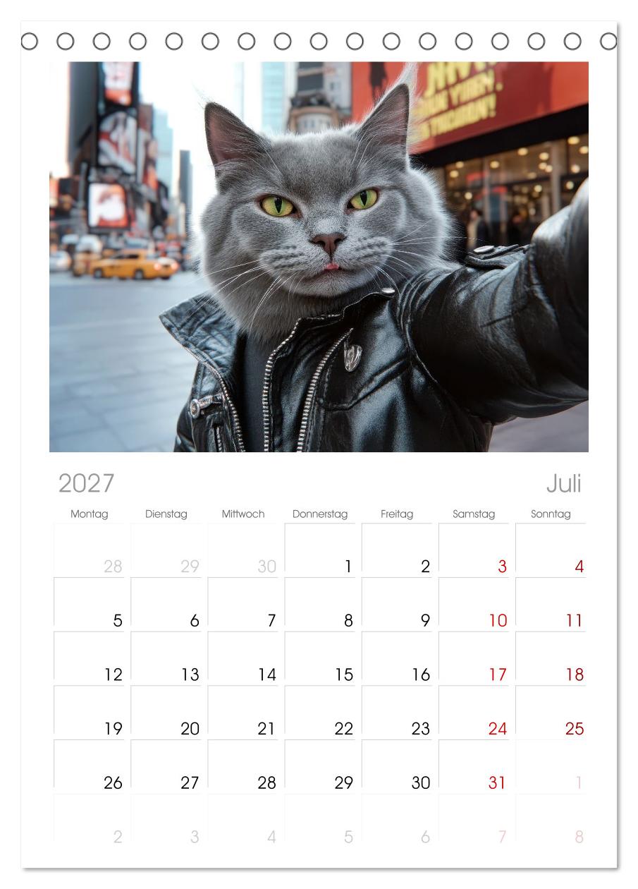KATZEN-SELFIES Tierische Reiselust
