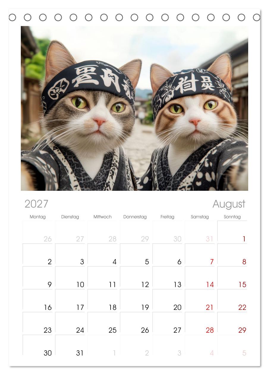 KATZEN-SELFIES Tierische Reiselust