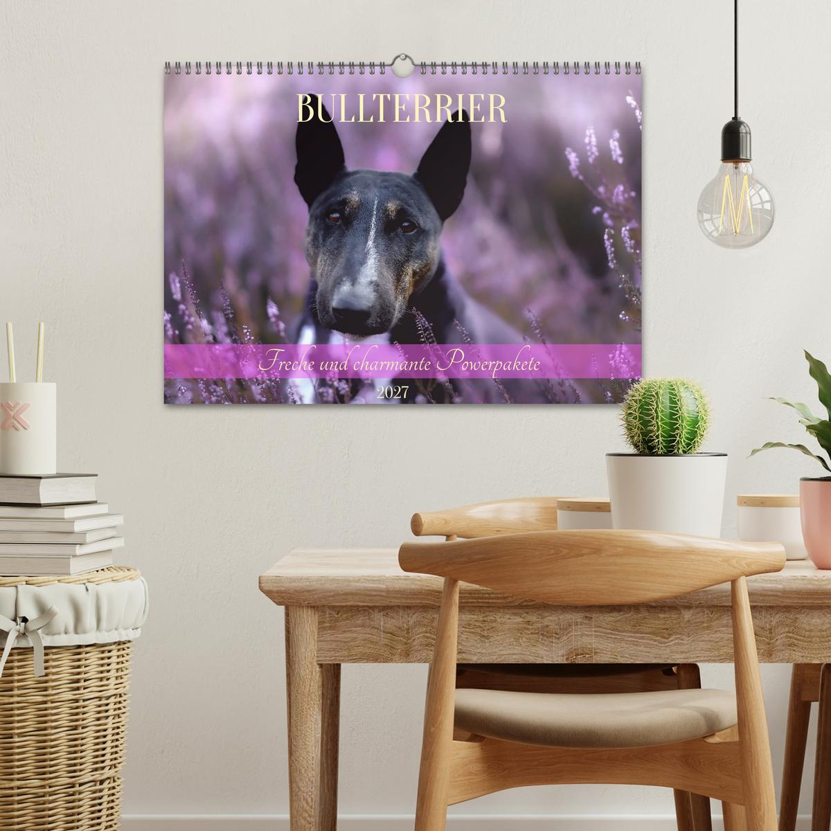 Bullterrier - freche und charmante Powerpakete