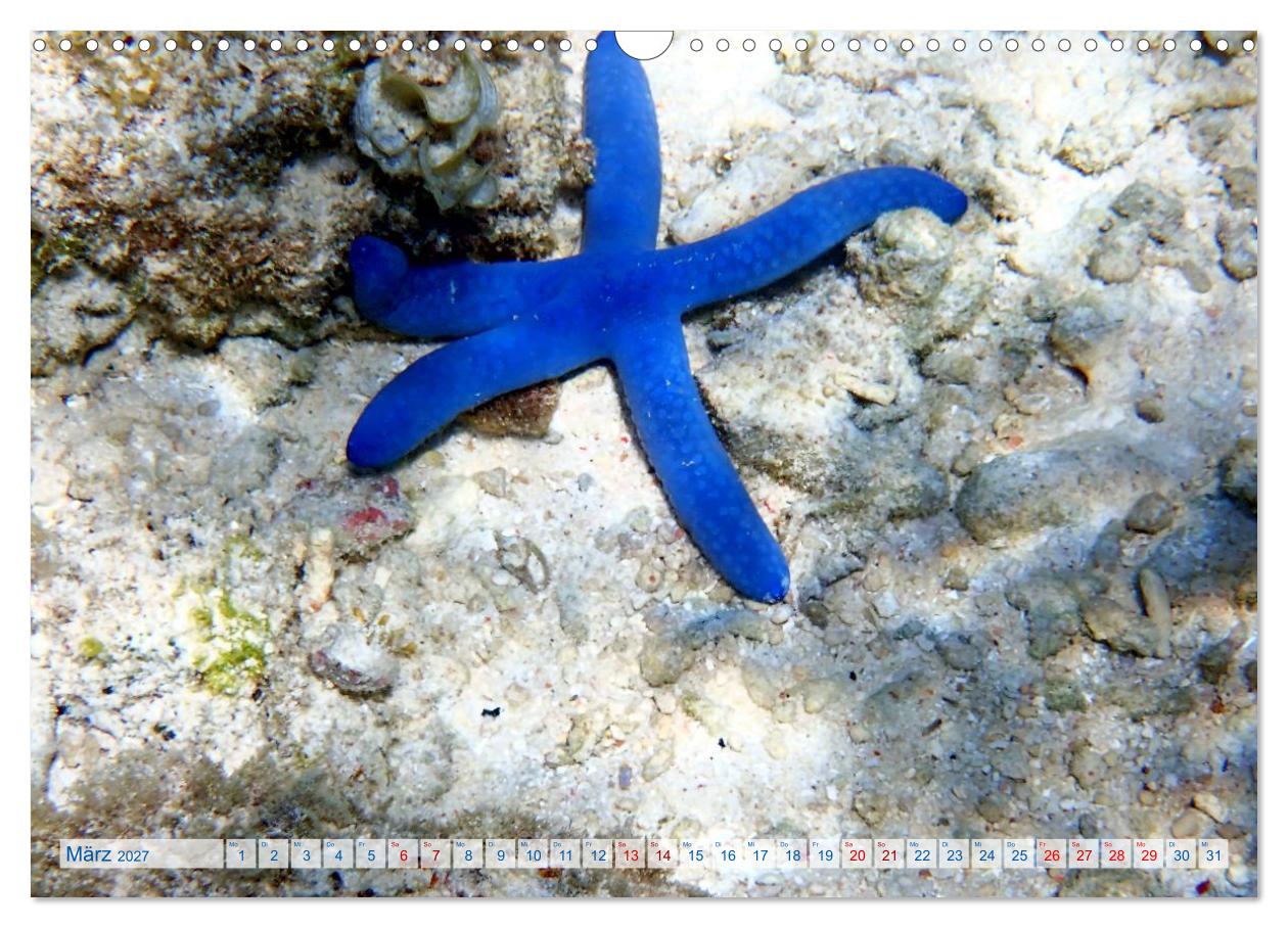 Philippinen über und unter Wasser – Traumziele weltweit