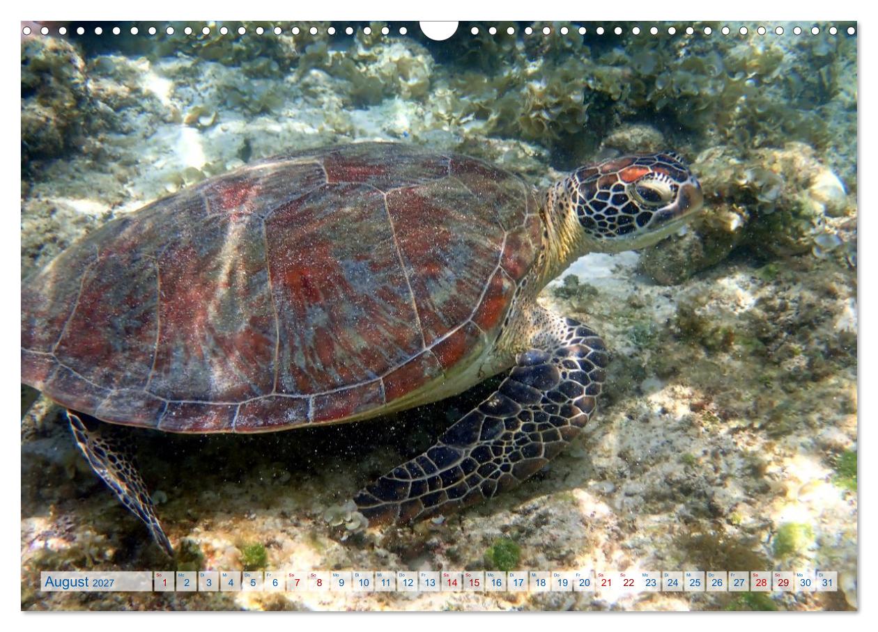 Philippinen über und unter Wasser – Traumziele weltweit