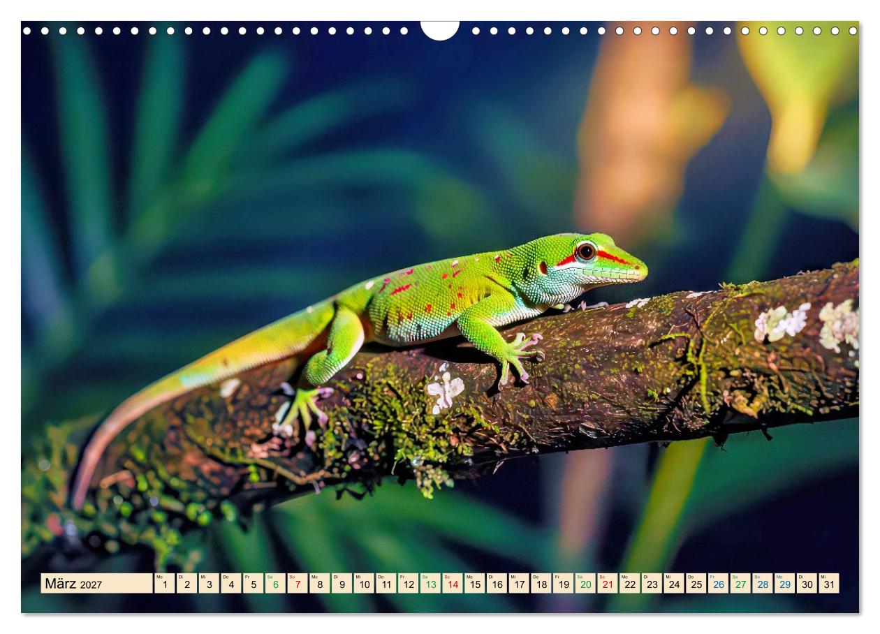 Farbenprächtige exotische Tiere